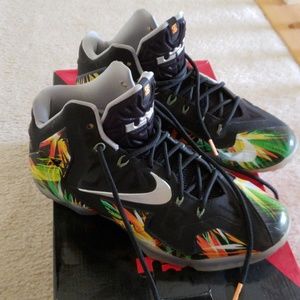 Lebron XI: "Everglades" Colorway